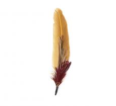 Feather duo