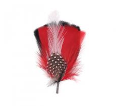 Hat Feather