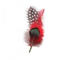 Hat Feather
