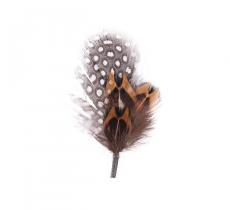 Hat Feather