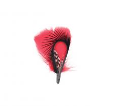 Feather duo