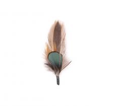 Feather duo