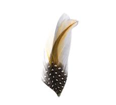 Hat Feather