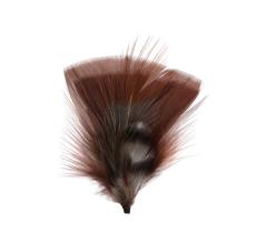Hat Feather