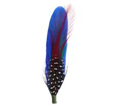 Hat Feather