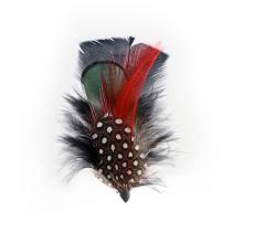 Hat Feather